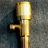 نمای نزدیک از مغزی شیر پیسوار با کیفیت بالا