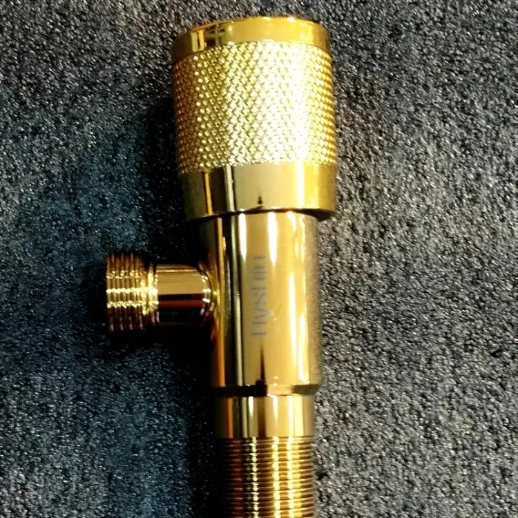 نمای نزدیک از مغزی شیر پیسوار با کیفیت بالا